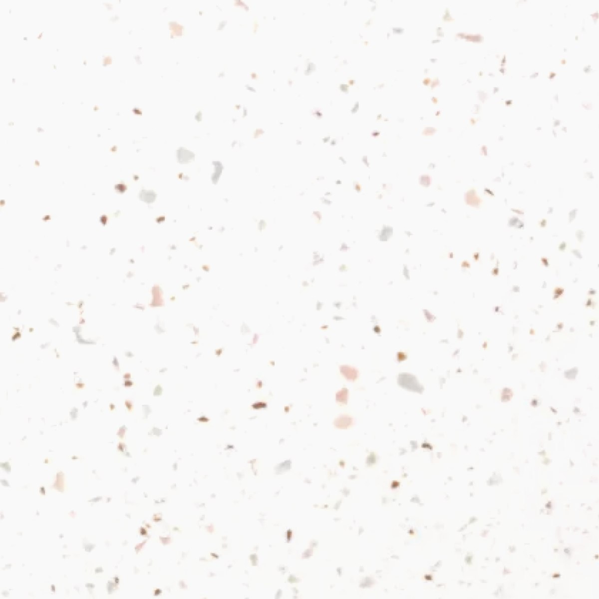 Terrazzo Marsala White Coloured Kitchen Worktops Terrazzo Marsala White Coloured Kitchen Worktops