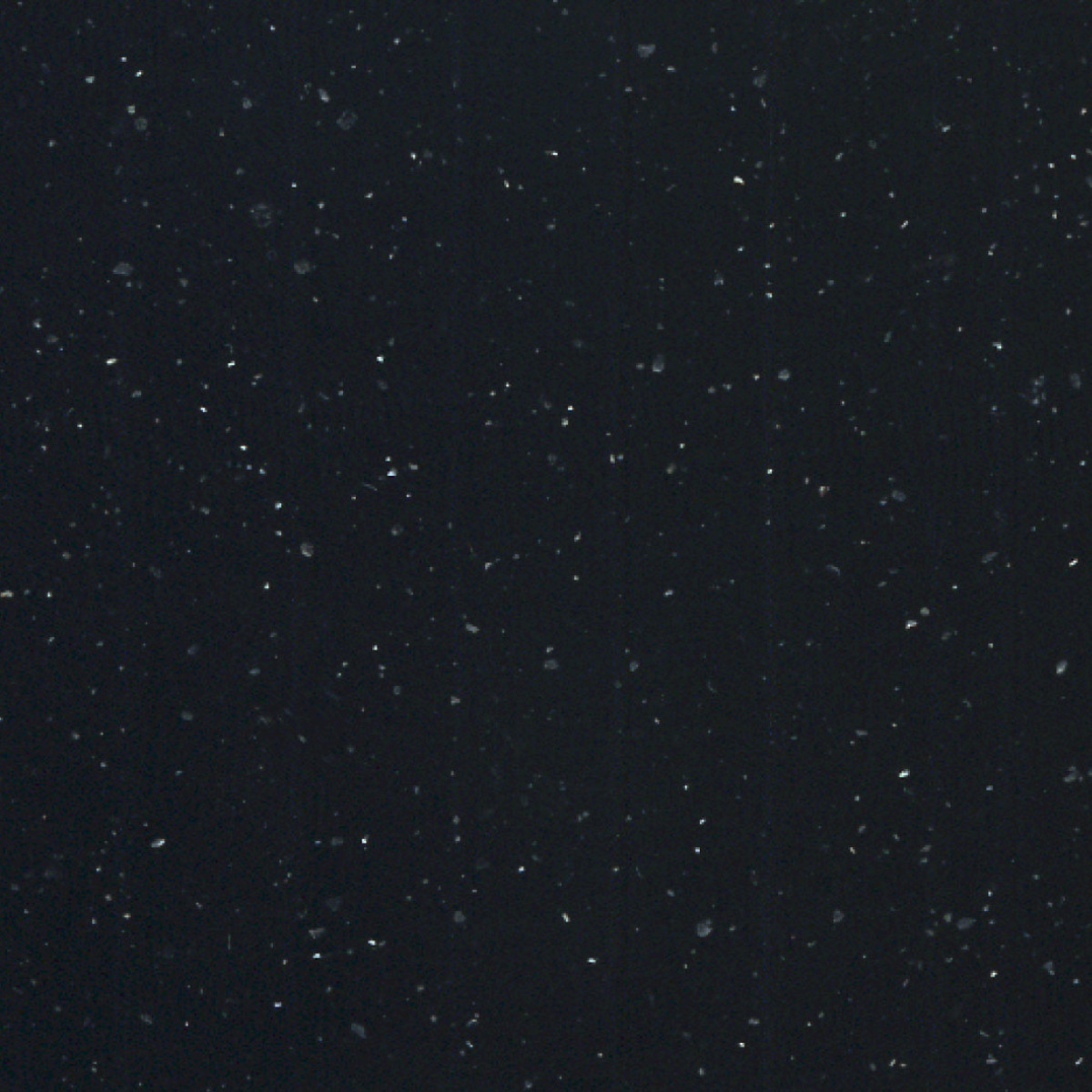 Night Gleam