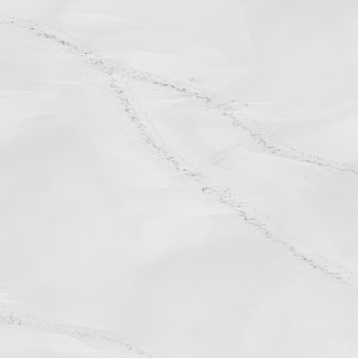 Venato Blanc (4)-small Venato Blanc (4)-small