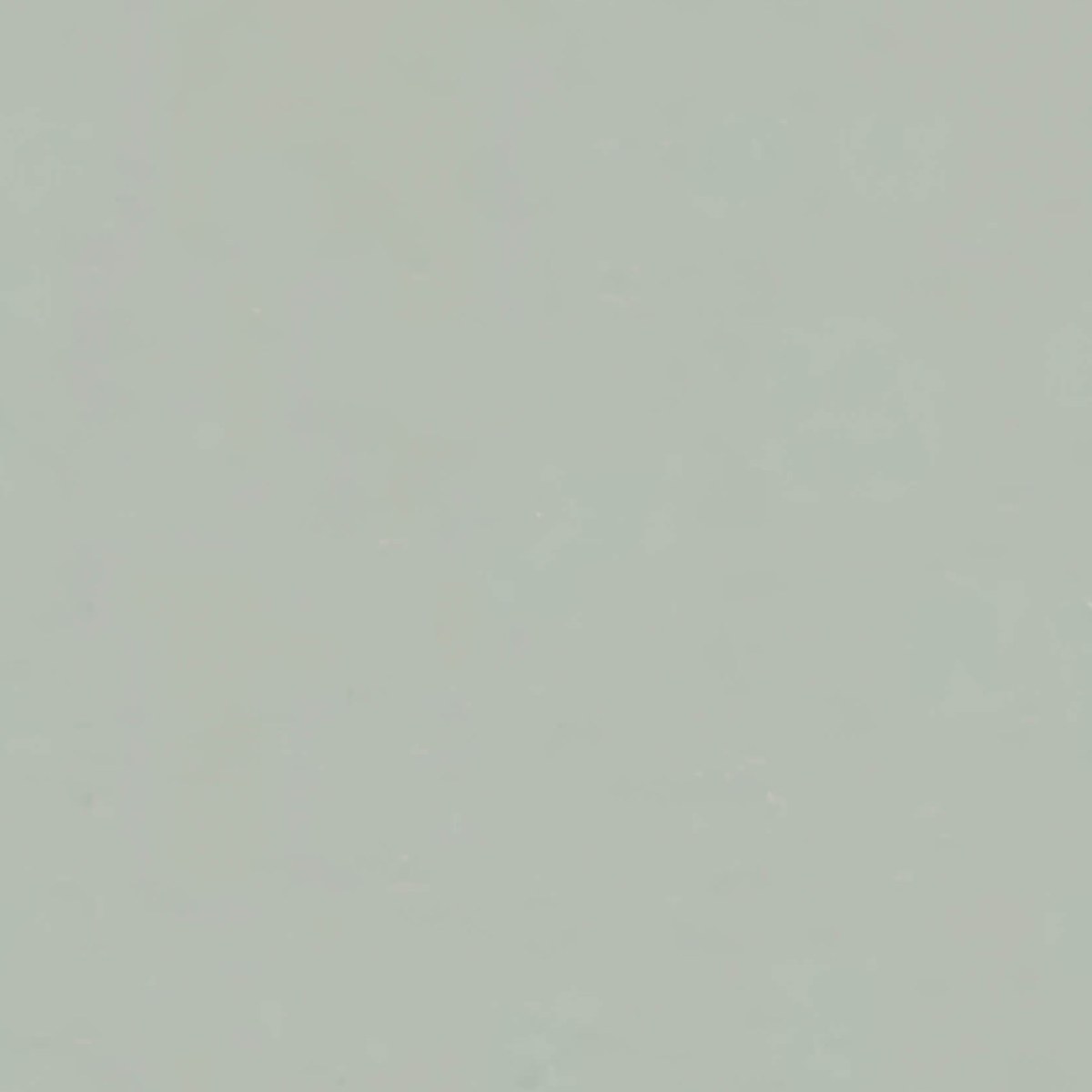 grey shale 4x grey shale 4x
